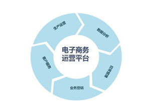 企業(yè)建設(shè)電子商務(wù)網(wǎng)站時(shí)要考慮哪些問(wèn)題